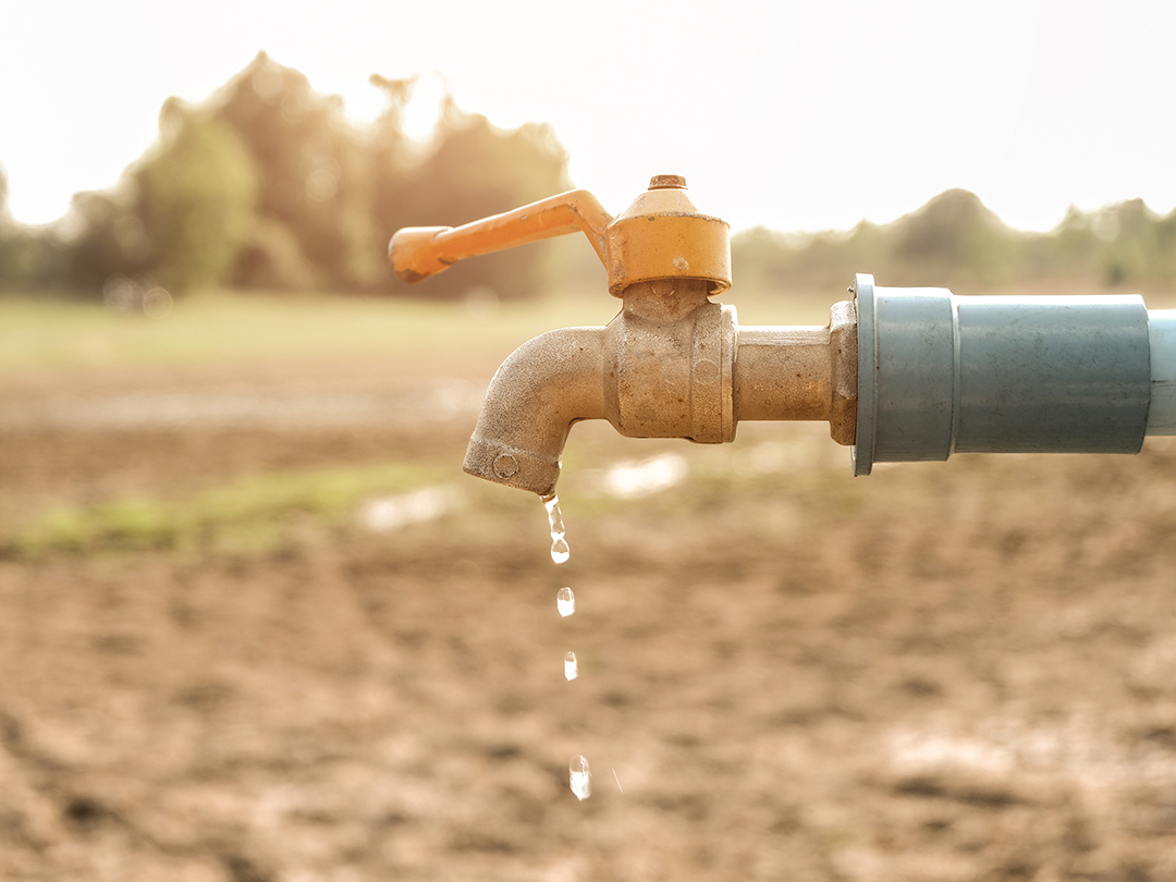 Região de Viçosa vive seca histórica