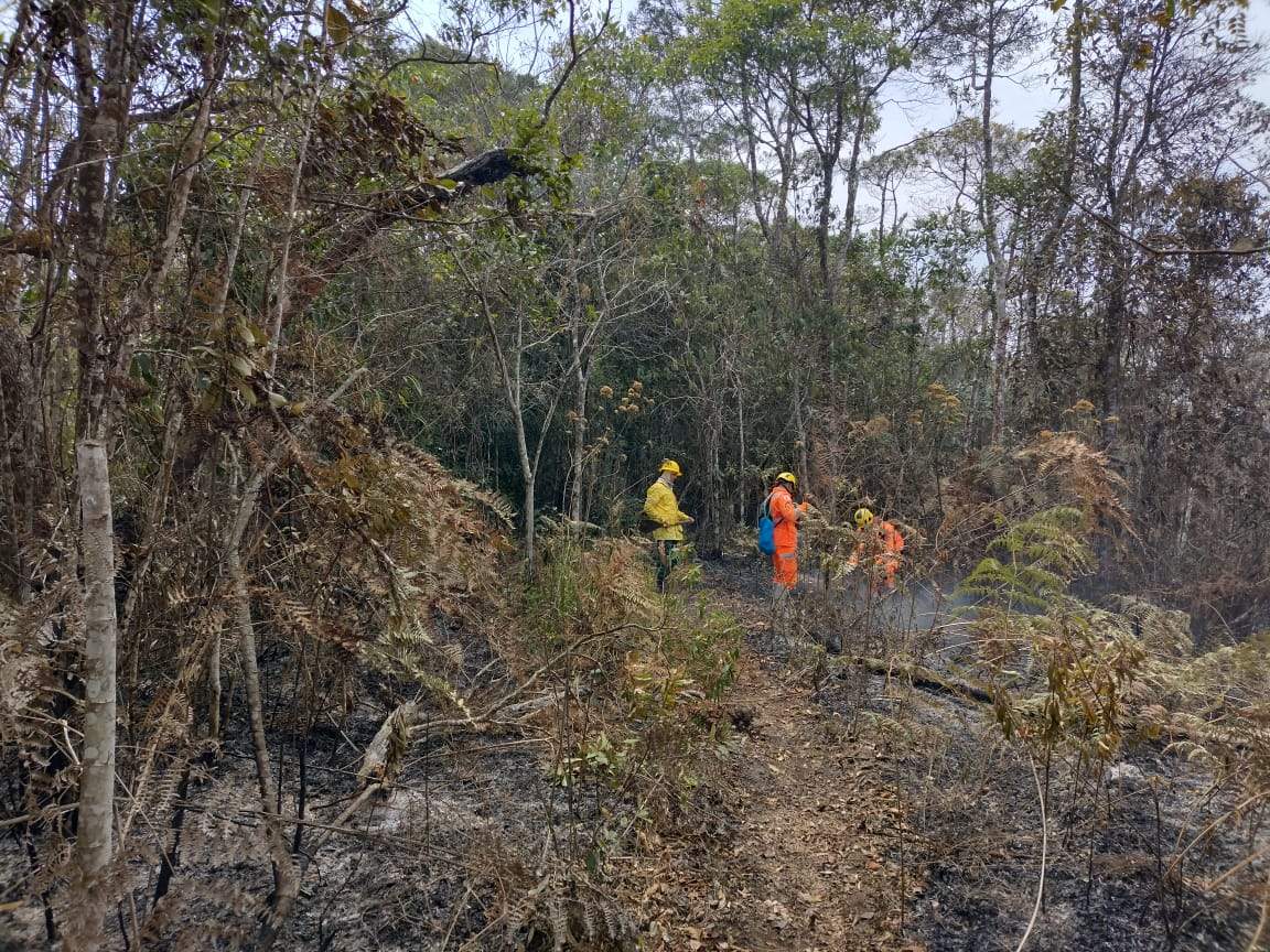 Defesa Civil de Viçosa ajuda no combate a incêndio no Parque Estadual da Serra do Brigadeiro