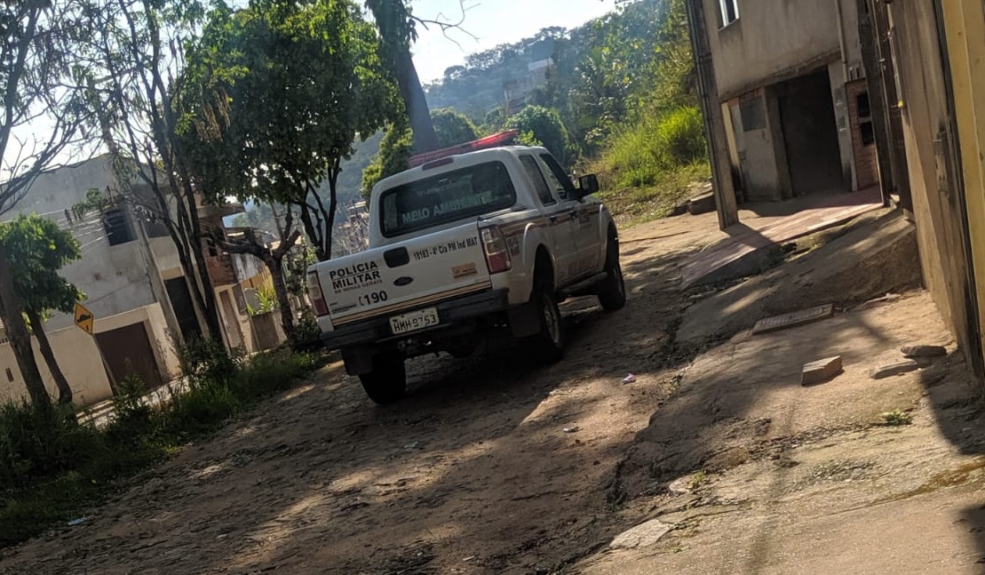 Polícia Militar Ambiental investiga o envenenamento de palmeiras imperiais no bairro Laranjal, em Viçosa