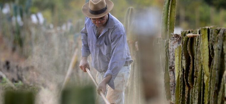 Inscrições para o Programa de Regularização Fundiária do Governo de Minas são prorrogadas até 29/11