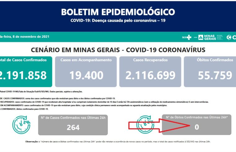 Minas Gerais, São Paulo e outros seis estados não registraram óbitos por Covid ontem 08/11