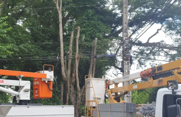 Queda de galho de árvore interrompeu fornecimento de energia elétrica e trânsito na Vila Giannetti