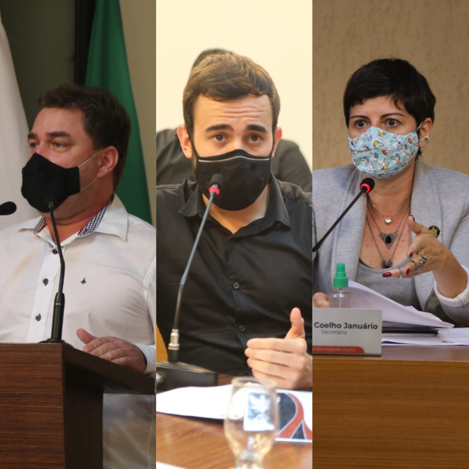 Viçosa: vereadores aprovam PL sobre a prorrogação de Alvarás