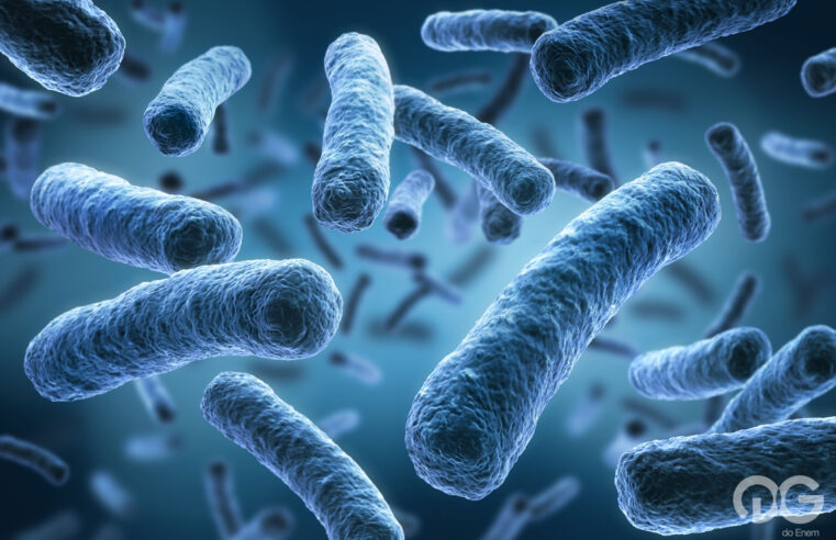 Escola da zona rural de Viçosa é obrigada a suspender aulas por surto de virose