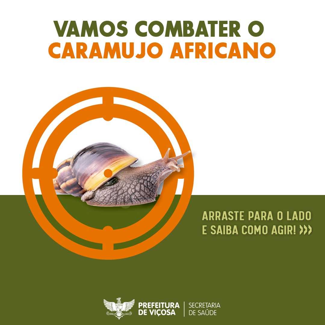 PMV alerta e orienta sobre o surgimento dos caramujos africanos