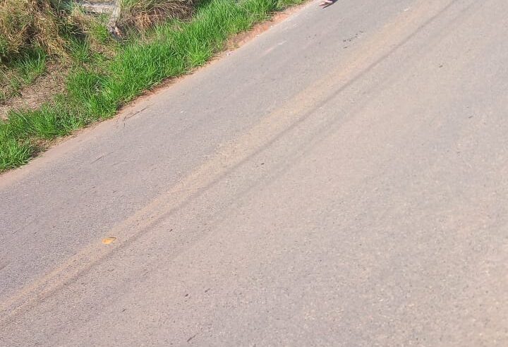 Viçosa: motorista perde controle do veículo, atropela idosa e carro desce ribanceira