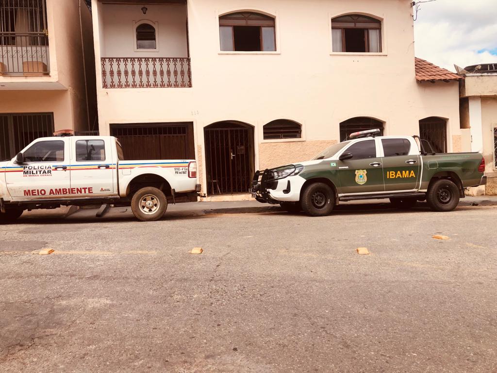 Viçosa: Polícia Ambiental e IBAMA prendem uma pessoa e multam duas em operação secreta