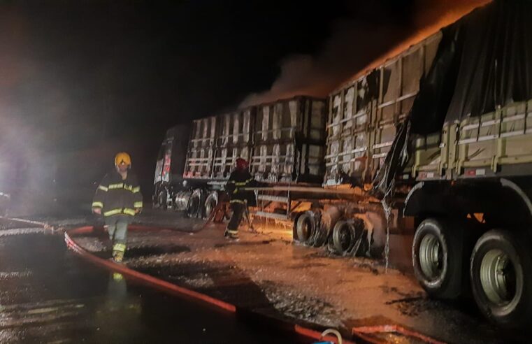 Carreta pega fogo na rodovia que liga Ponte Nova a Teixeiras