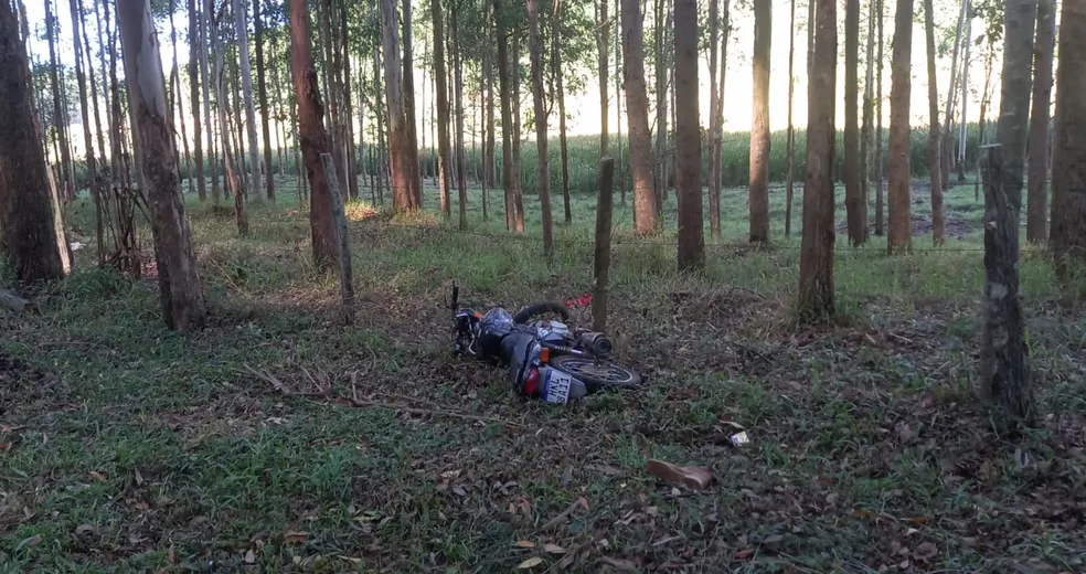 Motociclista desabilitado morre após bater em eucalipto, em Ervália