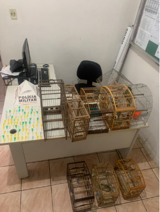 PM de Visconde do Rio Branco efetua prisão por tráfico