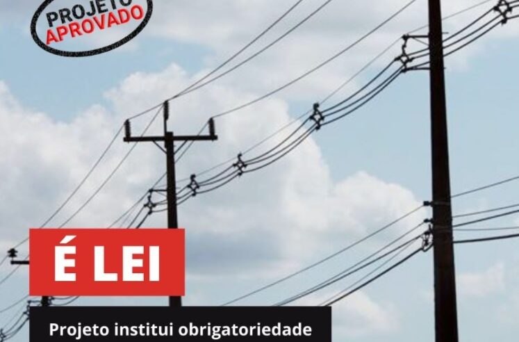 Viçosa: Câmara aprova PL que obriga a remoção de cabos e fios sem uso