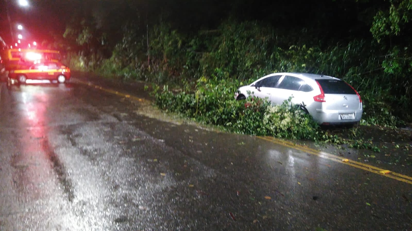 Queda de árvore derruba fios sobre carro e paralisa trânsito na Castello Branco, em Viçosa