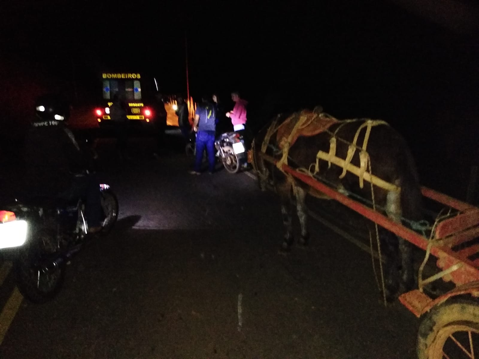 Viçosa: motociclista tem grave fratura após colidir com charrete, na saída da Barrinha