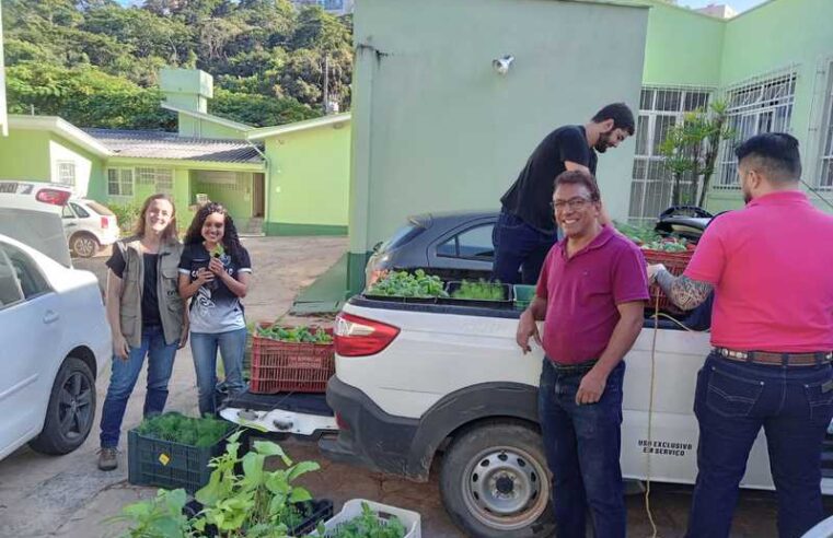 Epamig e UFV distribuem mudas de plantas medicinais para agricultoras da Zona da Mata mineira
