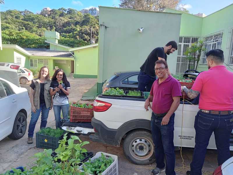 Epamig e UFV distribuem mudas de plantas medicinais para agricultoras da Zona da Mata mineira