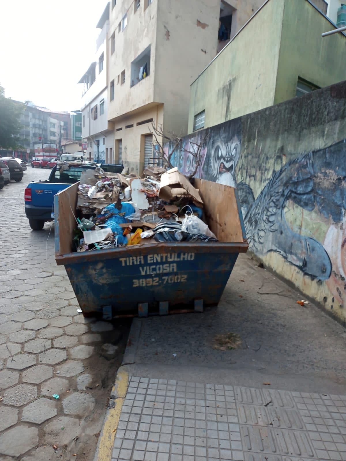 Defesa Civil de Viçosa retira entulho na Rua José da Cruz Reis