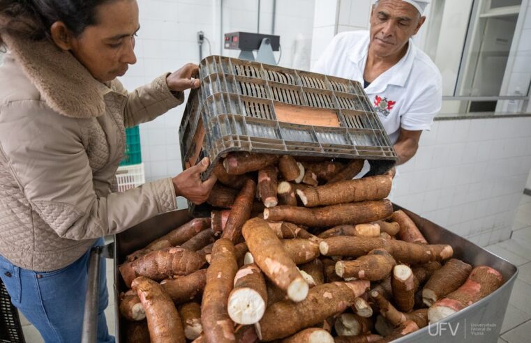 UFV: Restaurante Universitário oferece alimentos provenientes da Agricultura Familiar