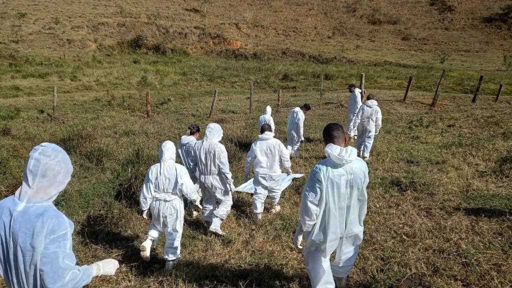 Técnicos da Vigilância em Saúde participam de capacitação sobre a Febre Maculosa