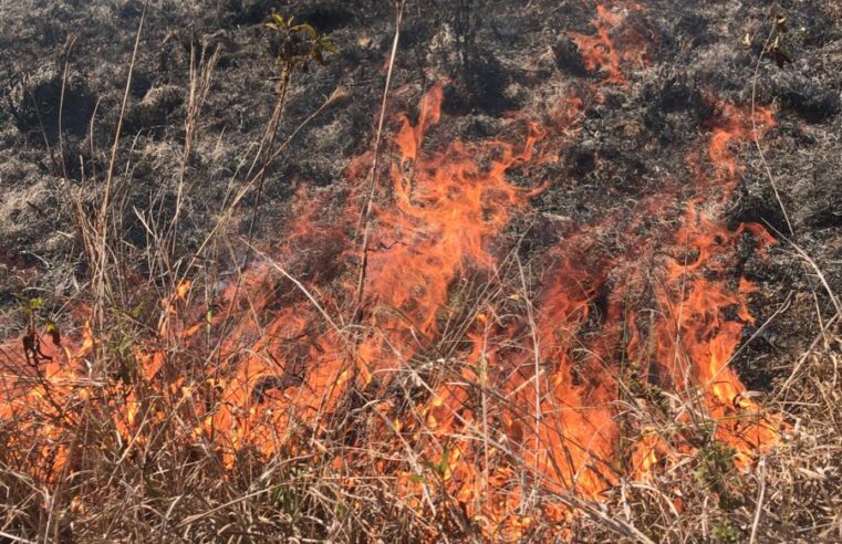 Incêndio queima 3 hectares de mata em Teixeiras