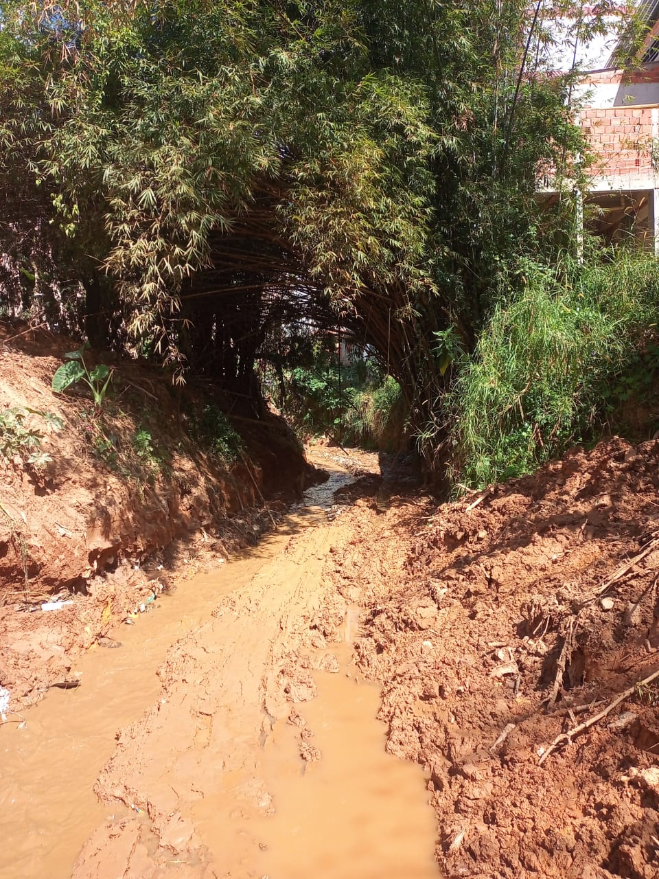 Ribeirão da Rua Santa Luzia recebe limpeza, em Viçosa