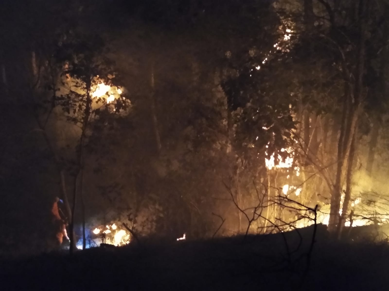 Incêndio destrói grande área de vegetação em Cachoeirinha