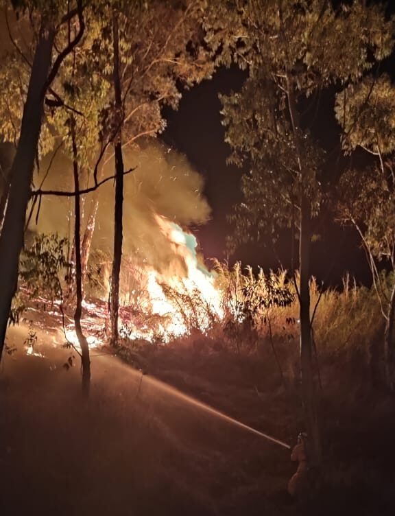Incêndio destrói cinco hectares na Avenida Maria de Paula Santana, em Viçosa