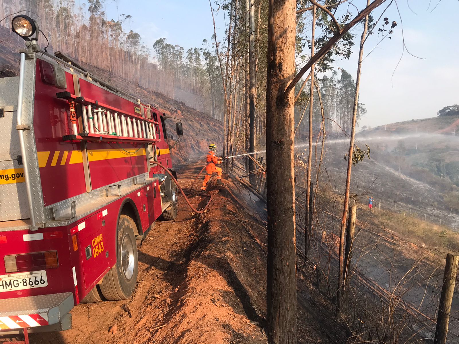 Viçosa: incêndio queima cerca de seis hectares de vegetação na Fazenda da Paula