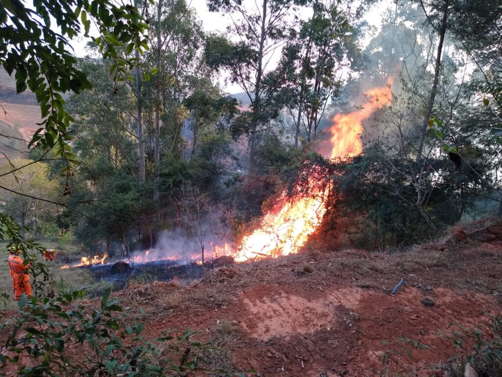 Um incêndio em Cachoeirinha destruiu uma grande área de vegetação. As causas ainda não foram divulgadas. Não há informações sobre vítimas.