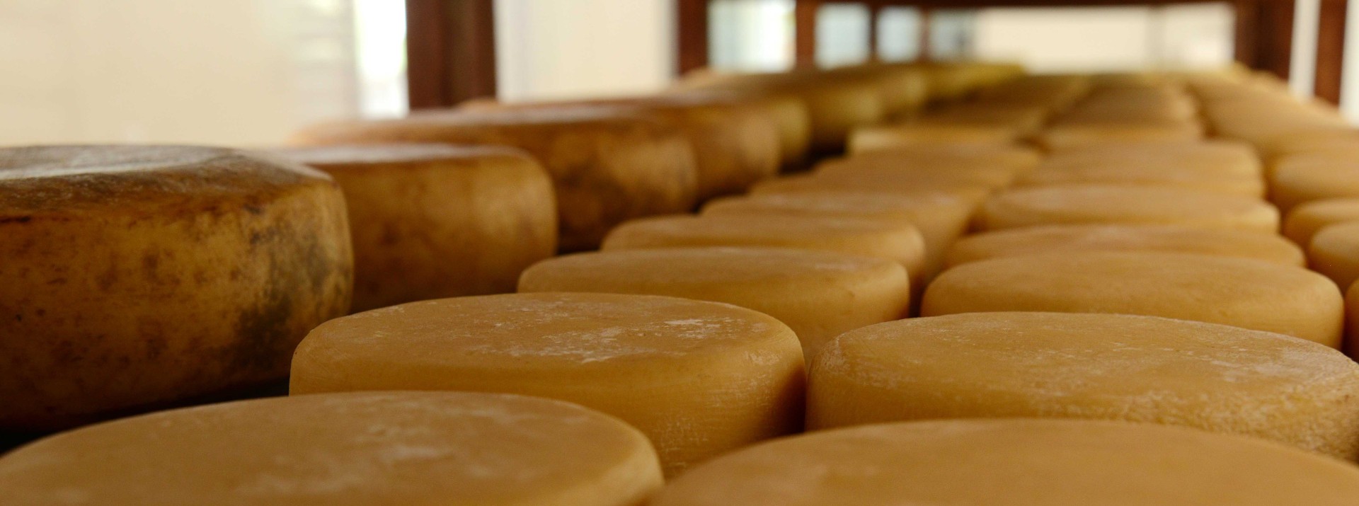 Inscrições para o Concurso Estadual de Queijo Minas Artesanal serão abertas na segunda-feira (17)