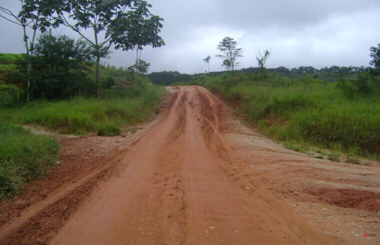 Licitação para pavimentação da MG-280, entre Divinésia e Paula Cândido é homologada