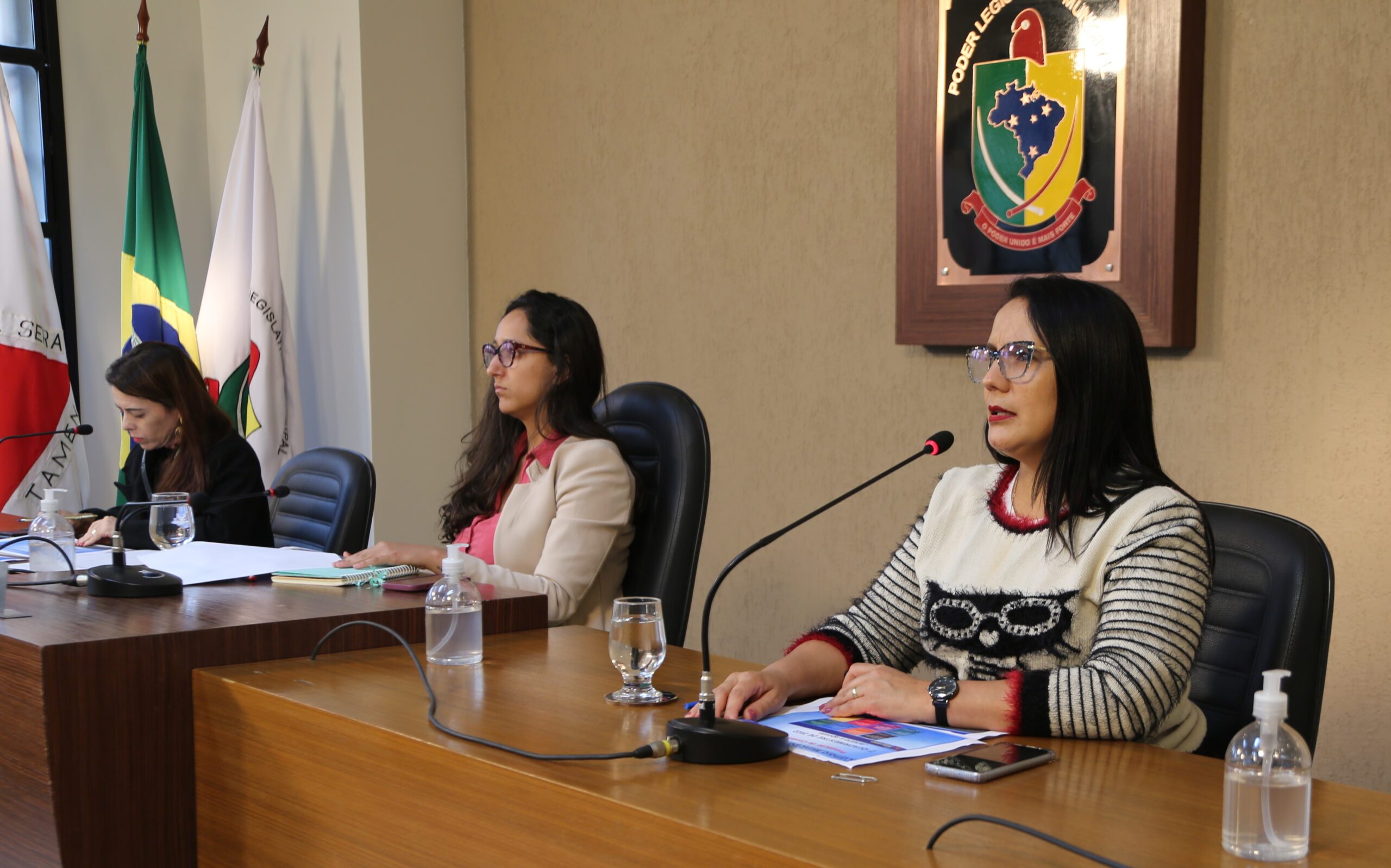 Câmara, Prefeitura, IMAS, IPREVI e SAAE prestam contas