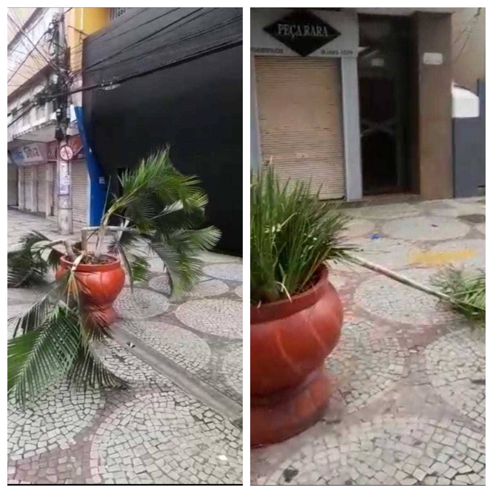 Vandalismo no Calçadão Arthur Bernardes, centro de Viçosa