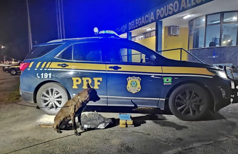 PRF prende viçosense com mais de 20 kg de cocaína, em Pouso Alegre