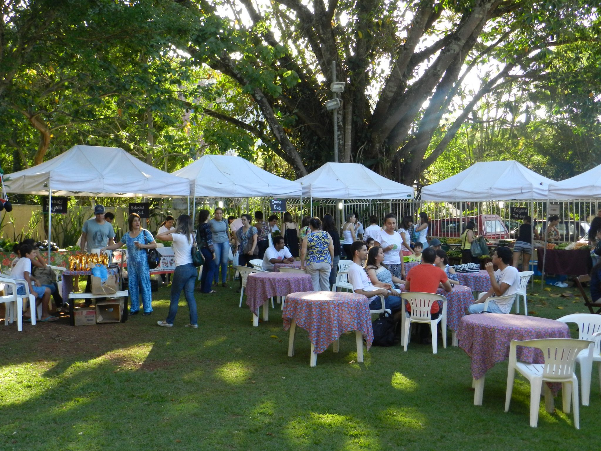 Quintal Solidário oferece oficina de cultivo orgânico na quarta-feira, 14/12