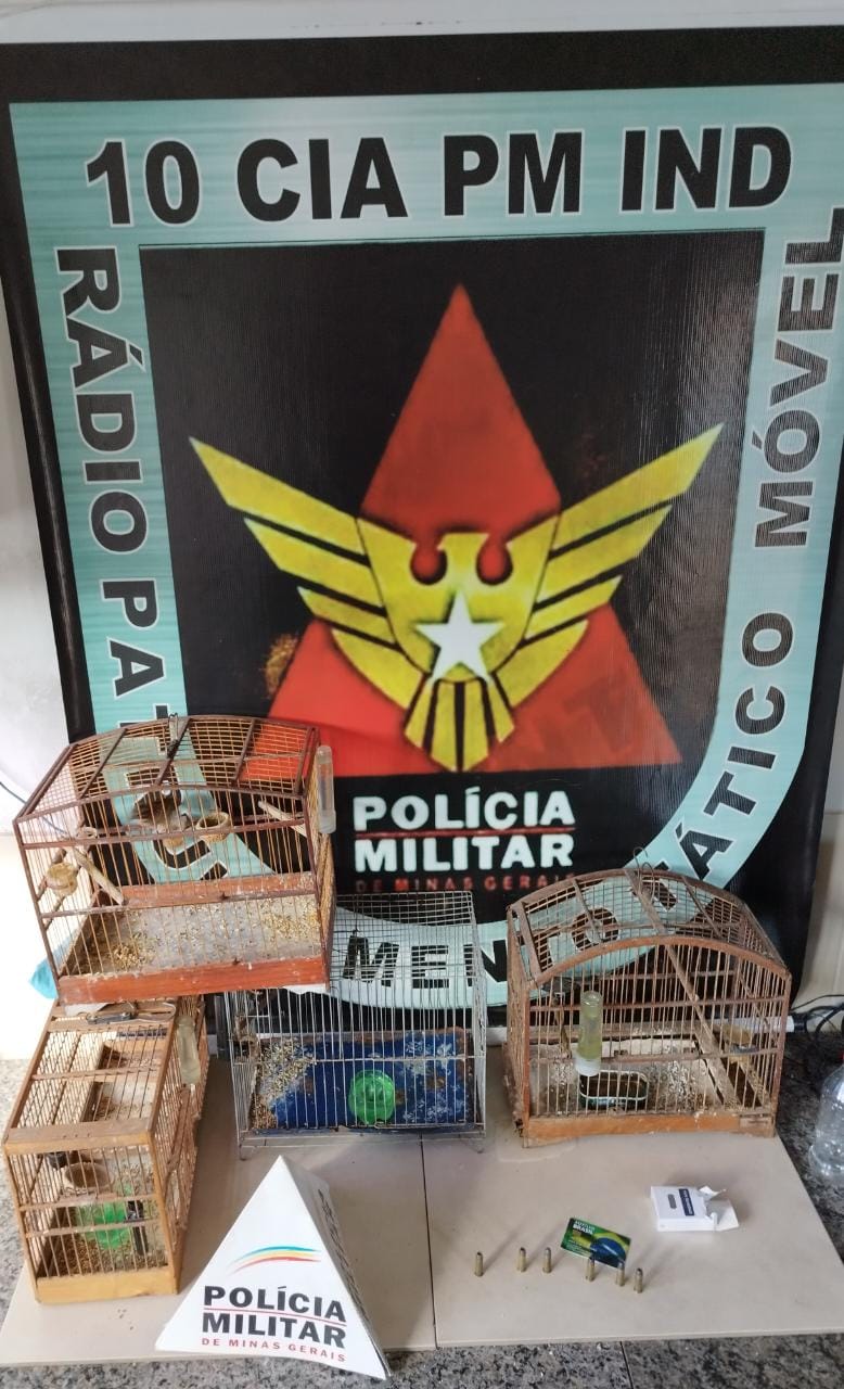 PM apreende pássaros silvestres e munições durante operação