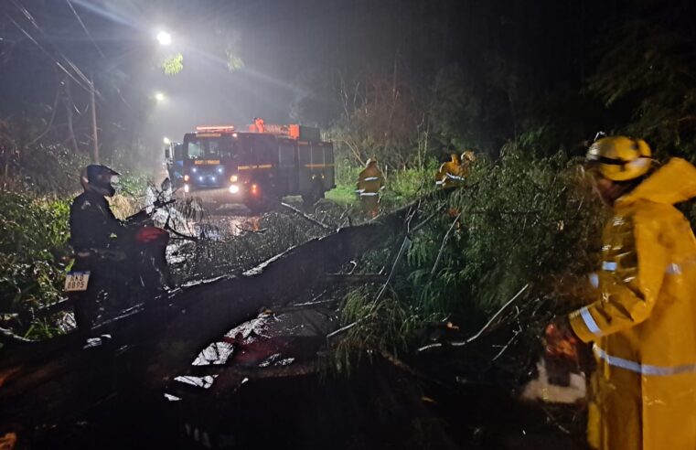 Prefeito de Viçosa declara Situação de Emergência na cidade