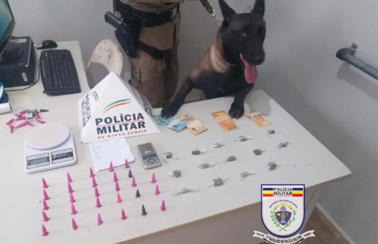 Polícia Militar de Ubá apreende drogas no bairro Planalto
