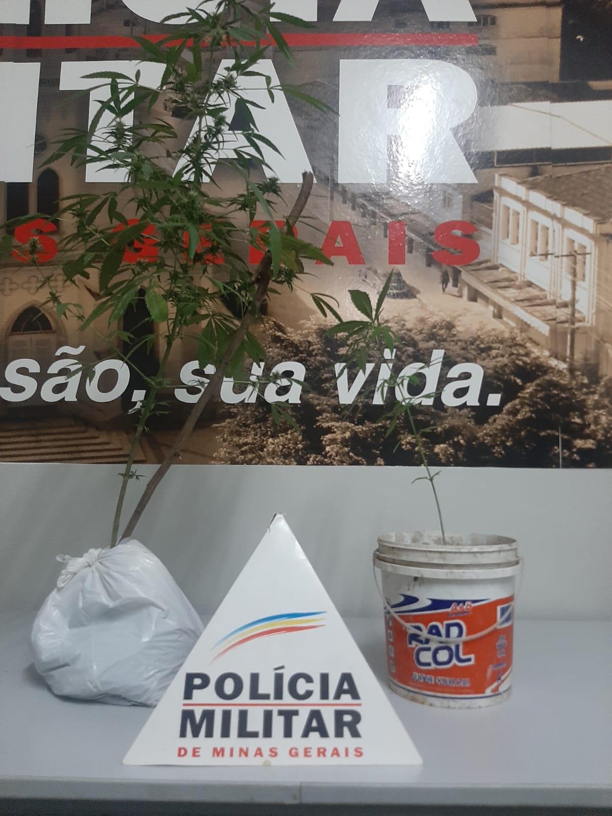 Região: homem é preso por tráfico de drogas
