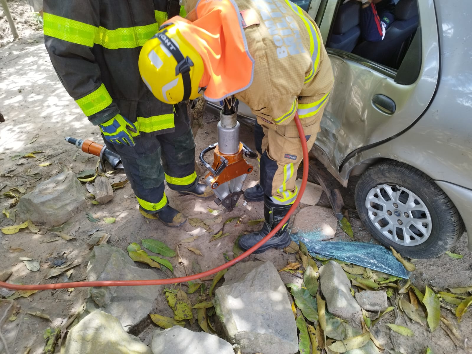 Carro bate em árvore e mulher fica ferida na rodovia Viçosa-Teixeiras