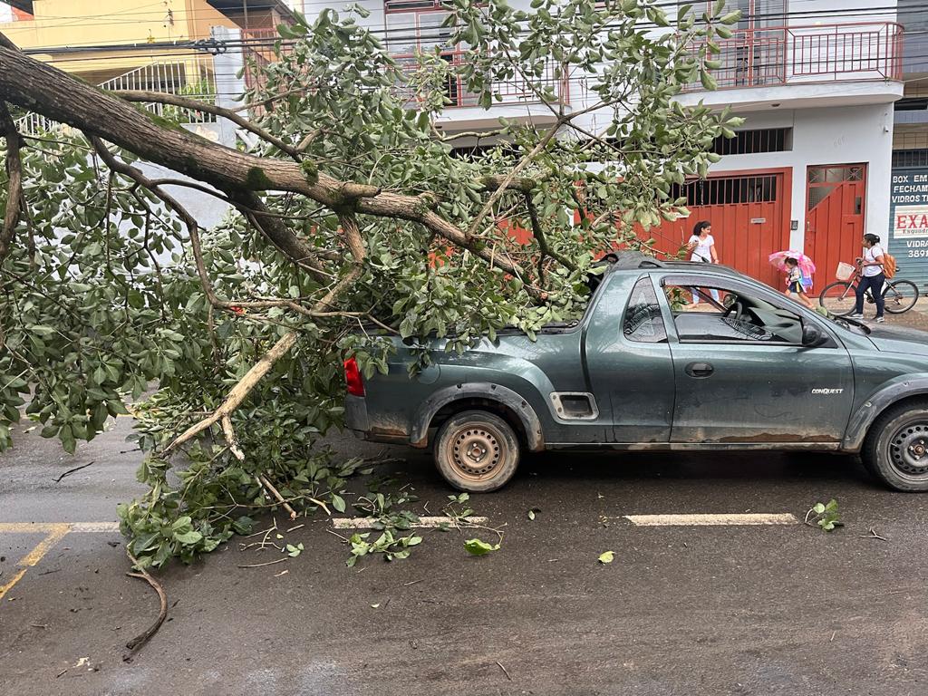 Galho de árvore cai sobre automóvel no Cantinho do Céu em Viçosa
