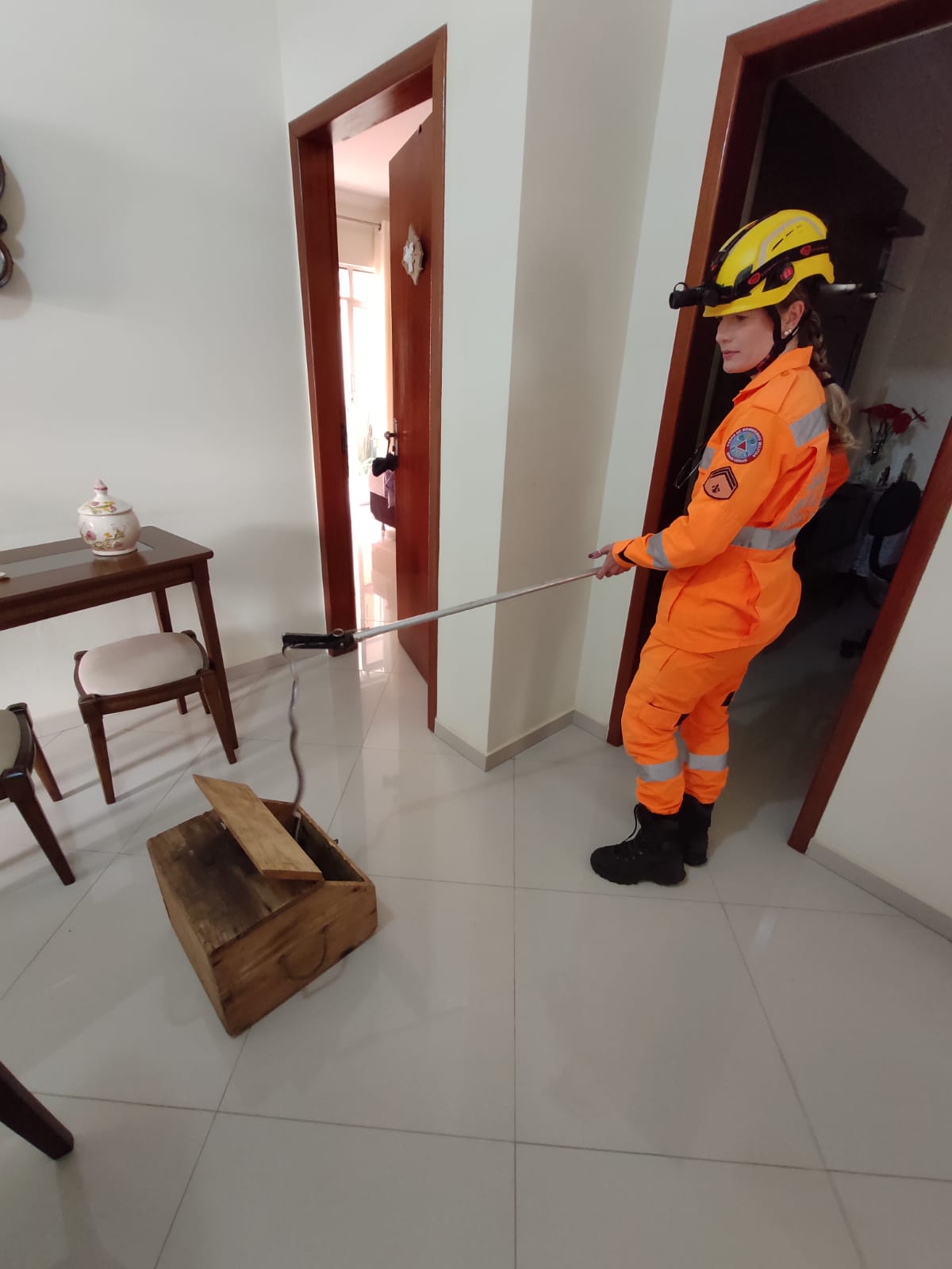 Viçosa: cobra é captura em casa no Silvestre