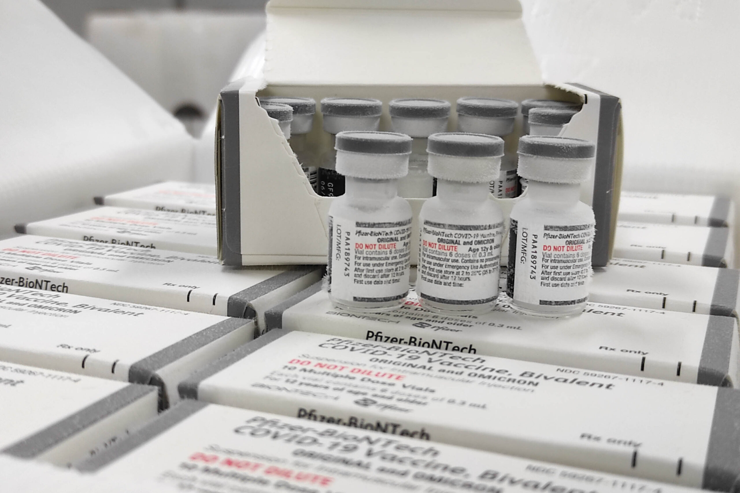 Brasil começa a aplicar vacina bivalente contra Covid-19; Viçosa recebe 2.052 doses