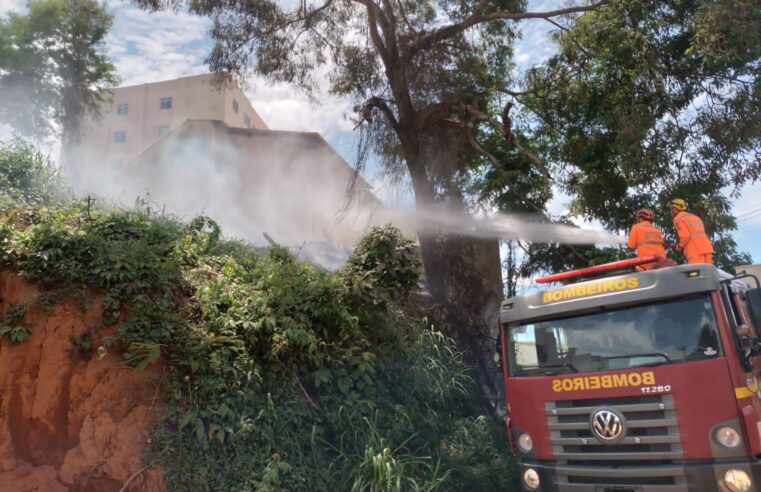 Bombeiros combatem incêndio em mata no bairro Belvedere