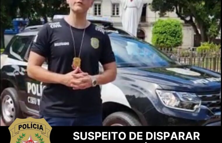 Suspeito de disparar contra idoso é preso pela PCMG em Dores do Turvo