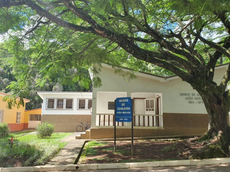 Museu de zoologia da UFV completa 30 anos em março