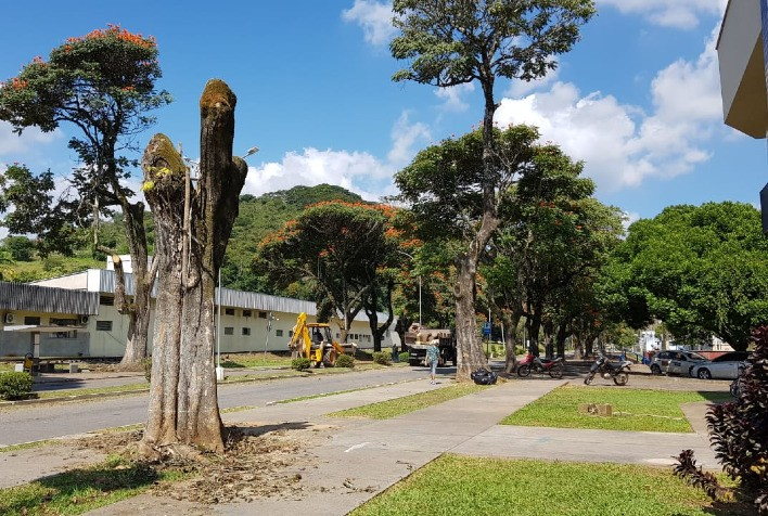 UFV estará sem energia durante este sábado (1)