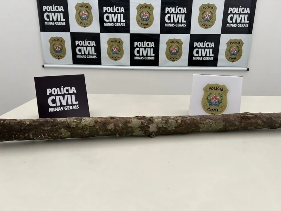 Zona da Mata: Homem é preso por tentar matar mulher a pauladas