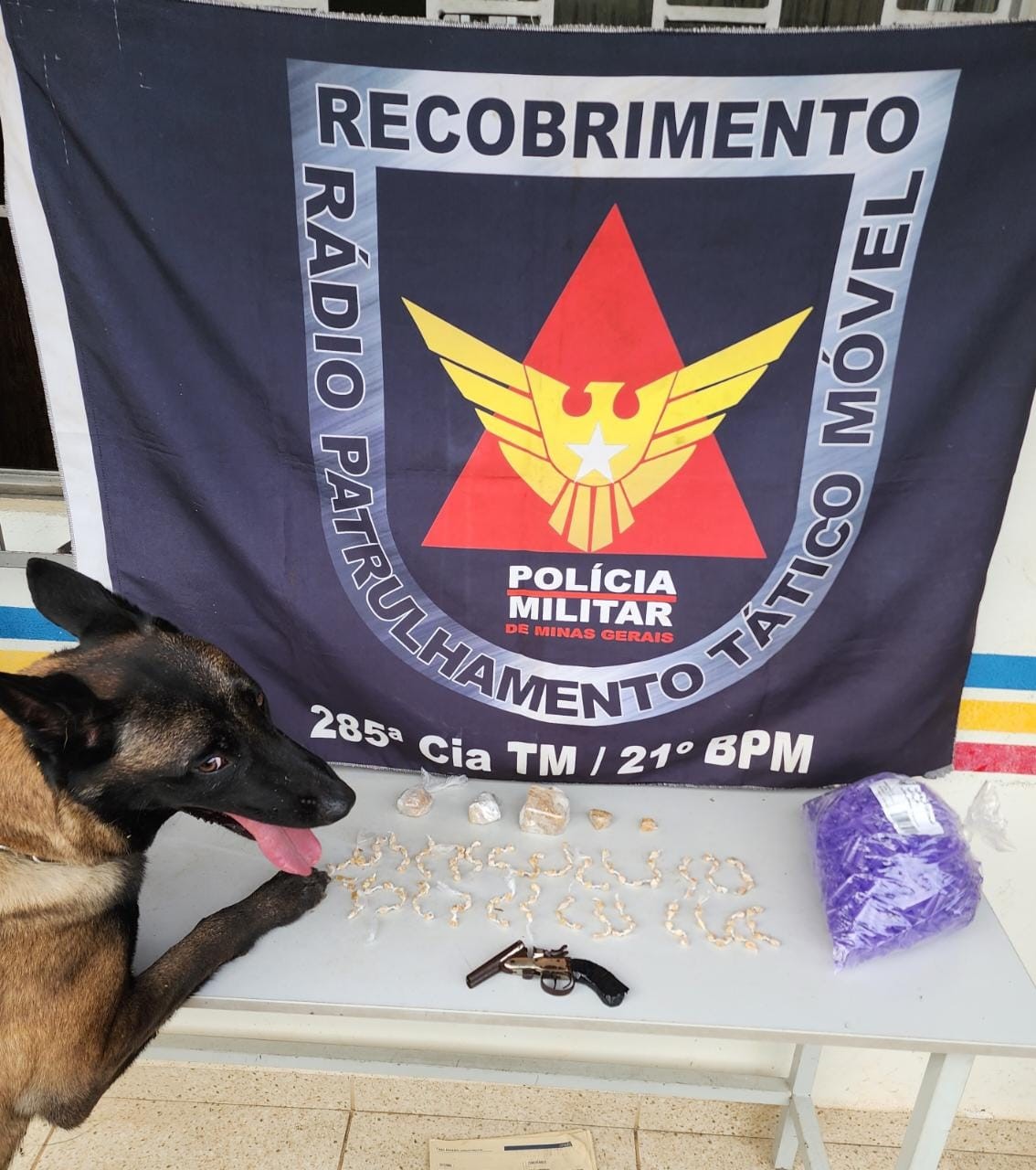 Região: PM apreende drogas e arma após denúncia