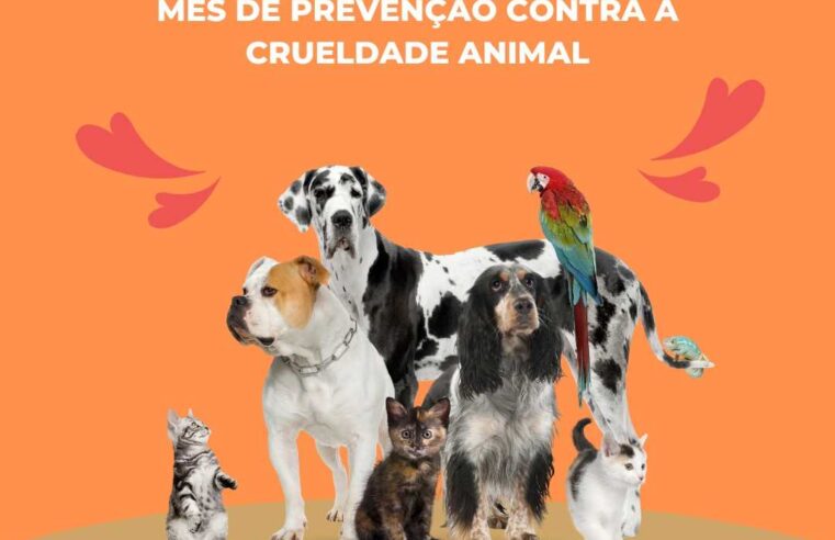 Abril Laranja é o mês alusivo ao combate da crueldade animal