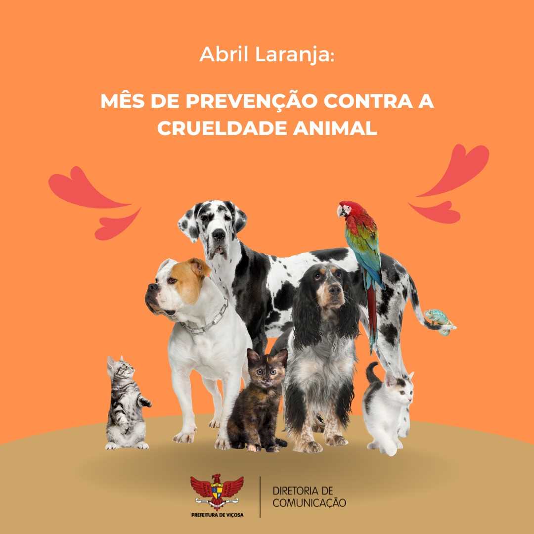 Abril Laranja é o mês alusivo ao combate da crueldade animal